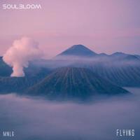 Flying (Live)專輯_SoulBloomFlying (Live)最新專輯