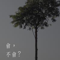 會不會？（gray）