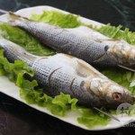 吉魚圖片照片