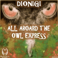 All Aboard The Owl Express