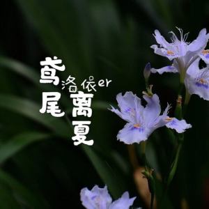 洛依er