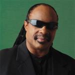 Stevie Wonder[史提夫 汪達