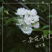 一朵花開過