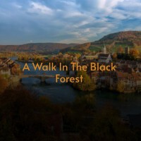 A Walk in the Black Forest專輯_Ruth BrownA Walk in the Black Forest最新專輯