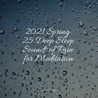 2021 Spring: 25 Deep Sleep Sounds of Rain for Meditation