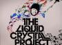 Liquid Crystal Project