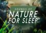 Relaxation Nature Feelings:  Nature Music with Instrumental Melodies for Relax, Rest and Calm Ne專輯_Sounds Of NatureRelaxation Nature Feelings:  Nature Music with Instrumental Melodies for Relax, Rest and Calm Ne最新專輯