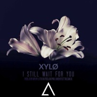 I Still Wait For You (Nolan van Lith x Felix Palmq