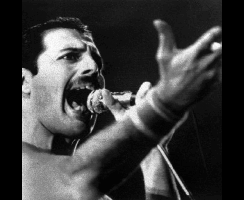 Freddie Mercury圖片照片