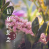 奧戈yoyo歌曲歌詞大全_奧戈yoyo最新歌曲歌詞