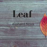 Leaf