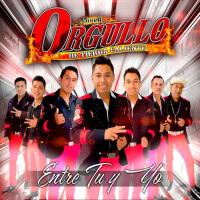 Grupo Orgullo De Tierra Caliente歌曲歌詞大全_Grupo Orgullo De Tierra Caliente最新歌曲歌詞