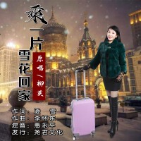 乘一片雪花回家