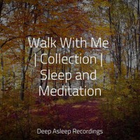 Walk With Me | Collection | Sleep and Meditation專輯_Echoes of NatureWalk With Me | Collection | Sleep and Meditation最新專輯