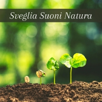 Sveglia suoni natura - pioggia, mare, vento, temporale, rumore bianco, musica rilassante