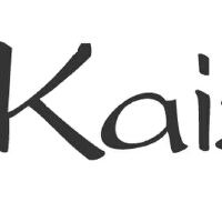 Kaizen最新專輯_新專輯大全_專輯列表