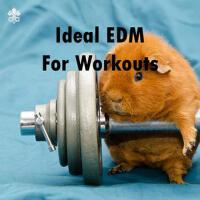 Ideal EDM For Workouts專輯_Janji / T.R.Ideal EDM For Workouts最新專輯