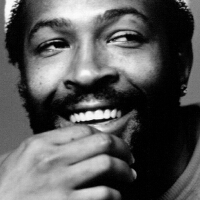 Marvin Gaye圖片照片_Marvin Gaye