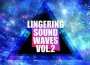 Lingering Sound Waves Vol.2 (lingering sound waves專輯_tsunenori a.k.a MaruLingering Sound Waves Vol.2 (lingering sound waves最新專輯