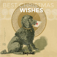 Best Christmas Wishes專輯_EsquivelBest Christmas Wishes最新專輯