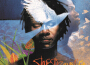 The Traveller (Special Edition)專輯_Baaba MaalThe Traveller (Special Edition)最新專輯