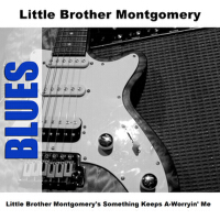 Little Brother Montgomery's Something Keeps A-Worryin' Me專輯_Little Brother MontgLittle Brother Montgomery's Something Keeps A-Worryin' Me最新專輯