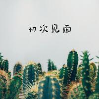 初次見面（純音樂專輯）