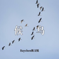 Raychen陳文銳