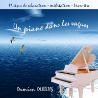 Un piano dans les vagues專輯_Damien DuboisUn piano dans les vagues最新專輯