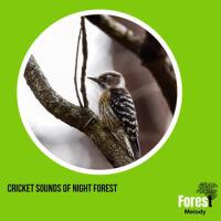 Cricket Sounds of Night Forest專輯_Adelmo HoffmannCricket Sounds of Night Forest最新專輯