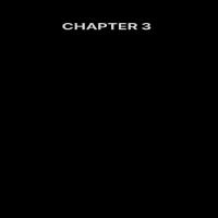 CHAPTER 3