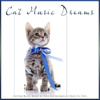 Cat Music Dreams: Cat Nap Music, Music for Cats and Background Music for Pets