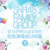 SNH48 FAMILY GROUP 暨 SNH48出道五周年紀念演唱會（下）