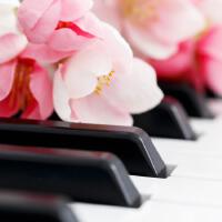 Romantic Piano Music For Wedding