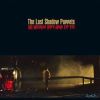 The Last Shadow Pupp歌曲歌詞大全_The Last Shadow Pupp最新歌曲歌詞