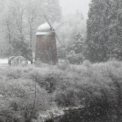 Snowing圖片照片_Snowing