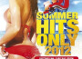 NRJ Summer Hits Only 專輯_SkalpovichNRJ Summer Hits Only 最新專輯