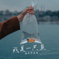 我是一隻魚