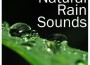 Rain Sounds & Nature Sounds, Heavy Rain Sounds, Rain, Thunder and Lightening Storm Sounds歌曲歌詞大全_Rain Sounds & Nature Sounds, Heavy Rain Sounds, Rain, Thunder and Lightening Storm Sounds最新歌曲歌詞