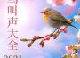 快樂鳥鳴叫歌曲歌詞大全_快樂鳥鳴叫最新歌曲歌詞