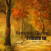 Acoustic Guitar Tribute Players最新專輯_新專輯大全_專輯列表