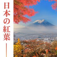 日本の紅葉: 秋の蟲の鳴き聲, 森のエコーと自然音, 鳥のなきごえ