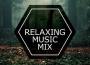 Relaxing Music Mix專輯_Alex SkrindoRelaxing Music Mix最新專輯