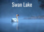 Swan Lake專輯_The National PhilharSwan Lake最新專輯