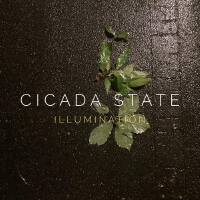 Cicada State歌曲歌詞大全_Cicada State最新歌曲歌詞