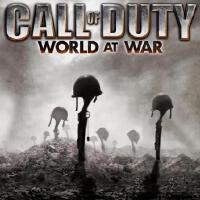 Call Of Duty: World At War