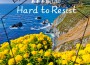 Hard to Resist專輯_DeeR泰勒Hard to Resist最新專輯