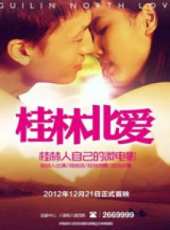 桂林北愛之愛的方向（微電影）線上看_高清完整版線上看_好看的電影