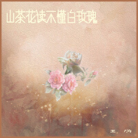 山茶花讀不懂白玫瑰 (教室版)