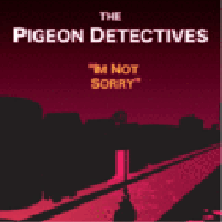 The Pigeon Detectives